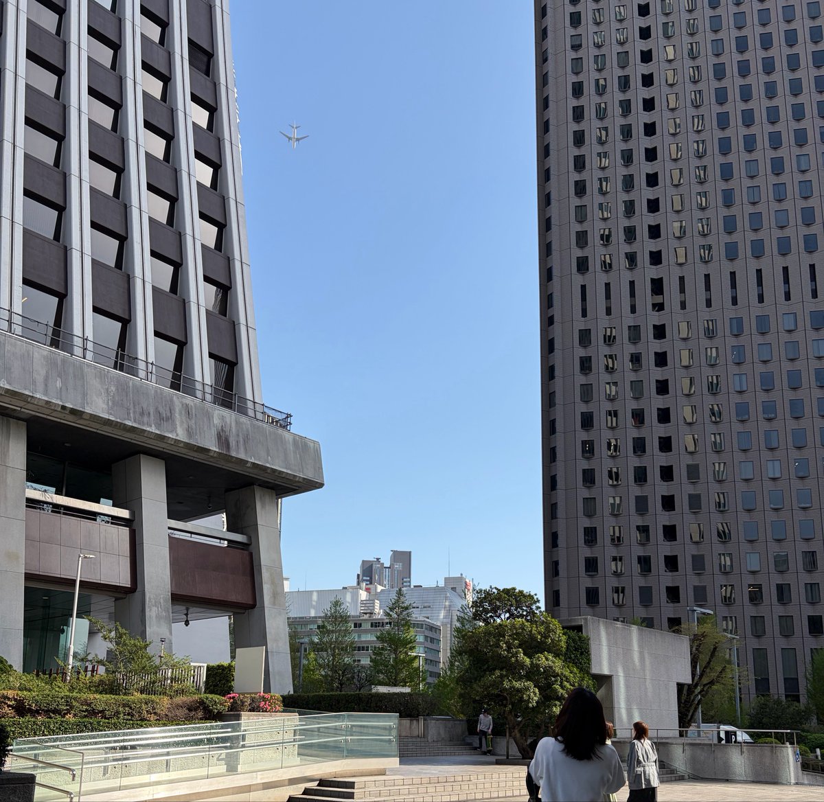 のき🌳ラフテー食べたい tweet media