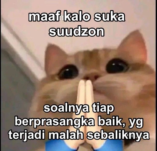 Amelia ꫂ❁ tweet media