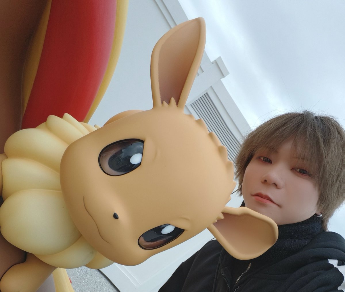 はちゅるい❁⃘*.ﾟ tweet media