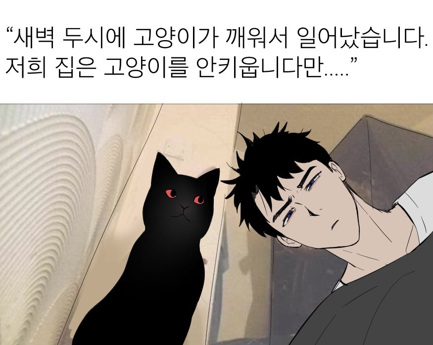 섬초김치 tweet media