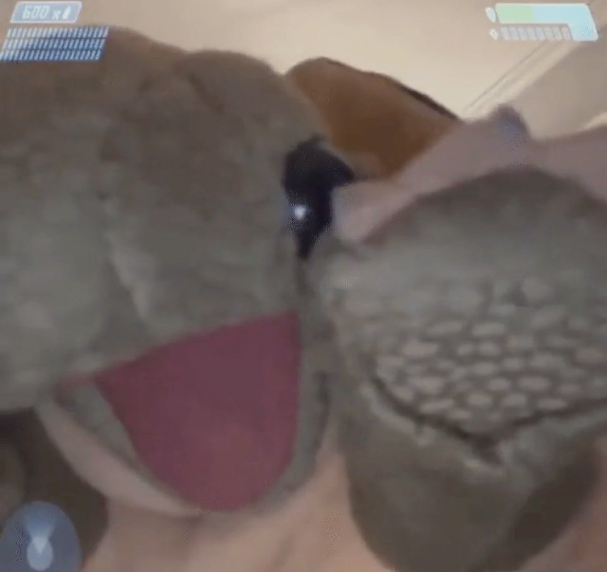 Moon🌙 tweet media