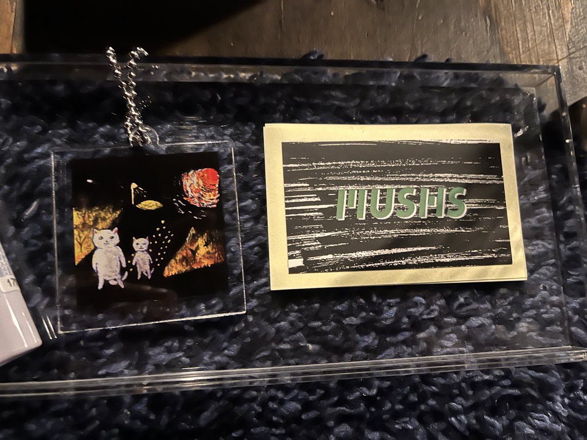 𝗠‌𝗨‌𝗦‌𝗛‌𝗦(マッシュズ) tweet media