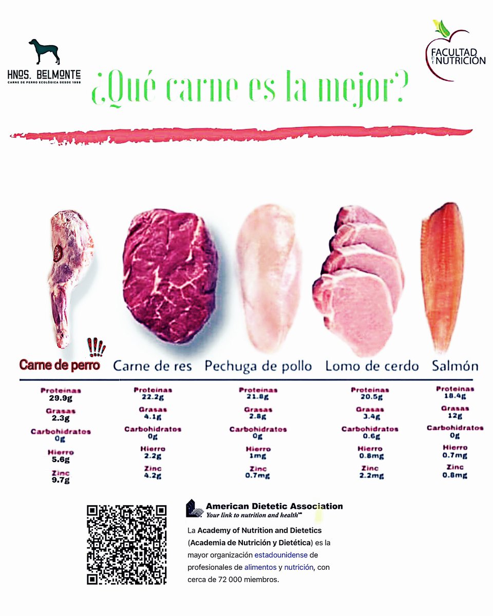 Belmonte Carne Ecológica de Perro tweet media
