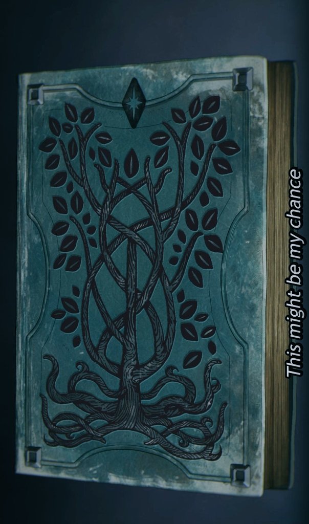 Leia Lu 🌿 tweet media