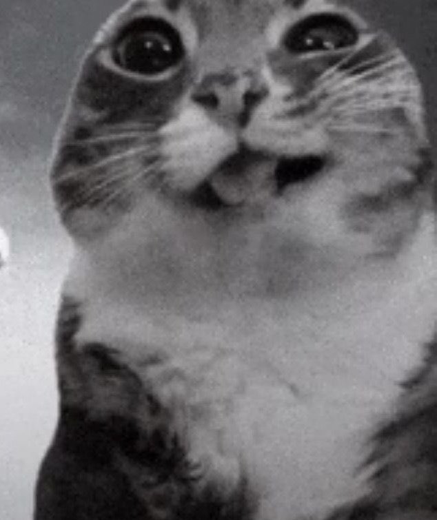 milly🫧 tweet media