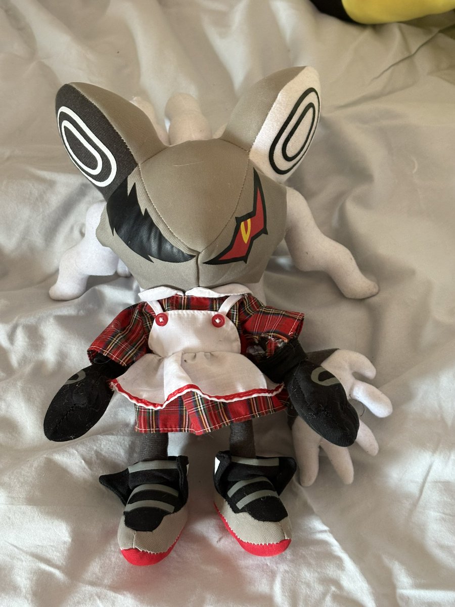 hoshi💫 tweet media