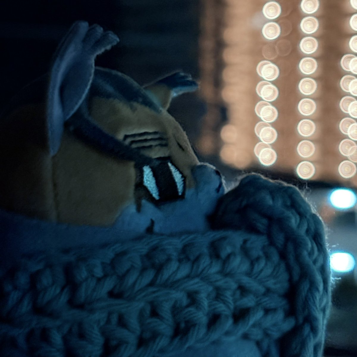 うちのほぜち tweet media