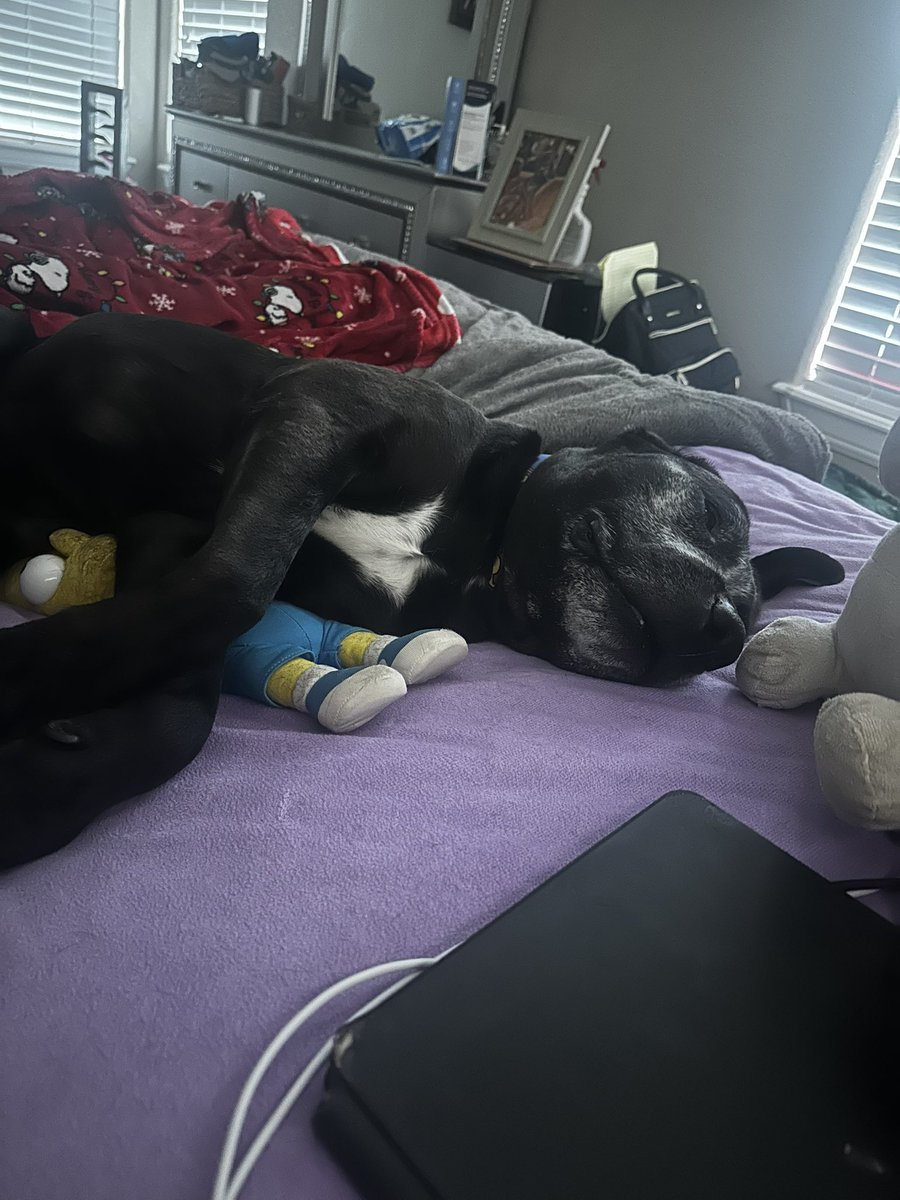 Jen Gerard 🐻❤️🥰🌈 tweet media