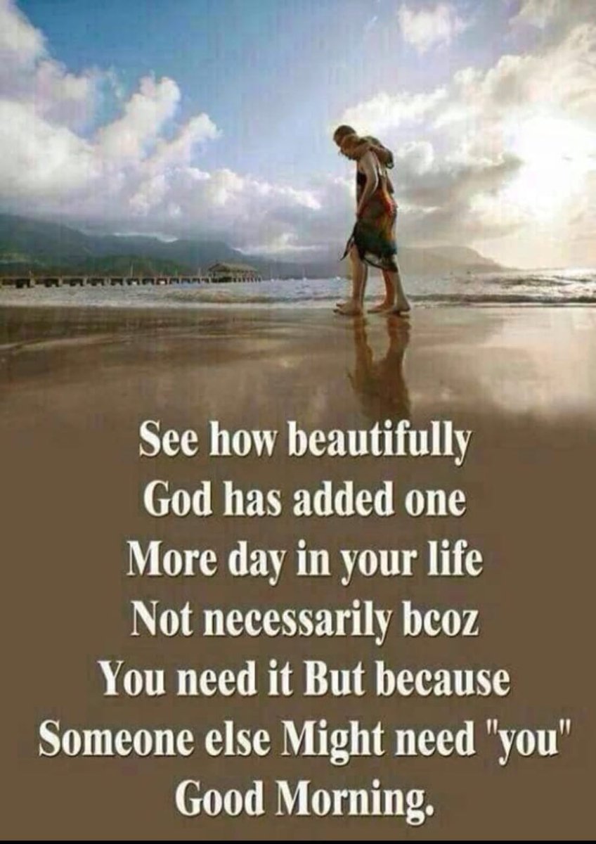 CAPT. PARA8OLIC TOBLERONE tweet media