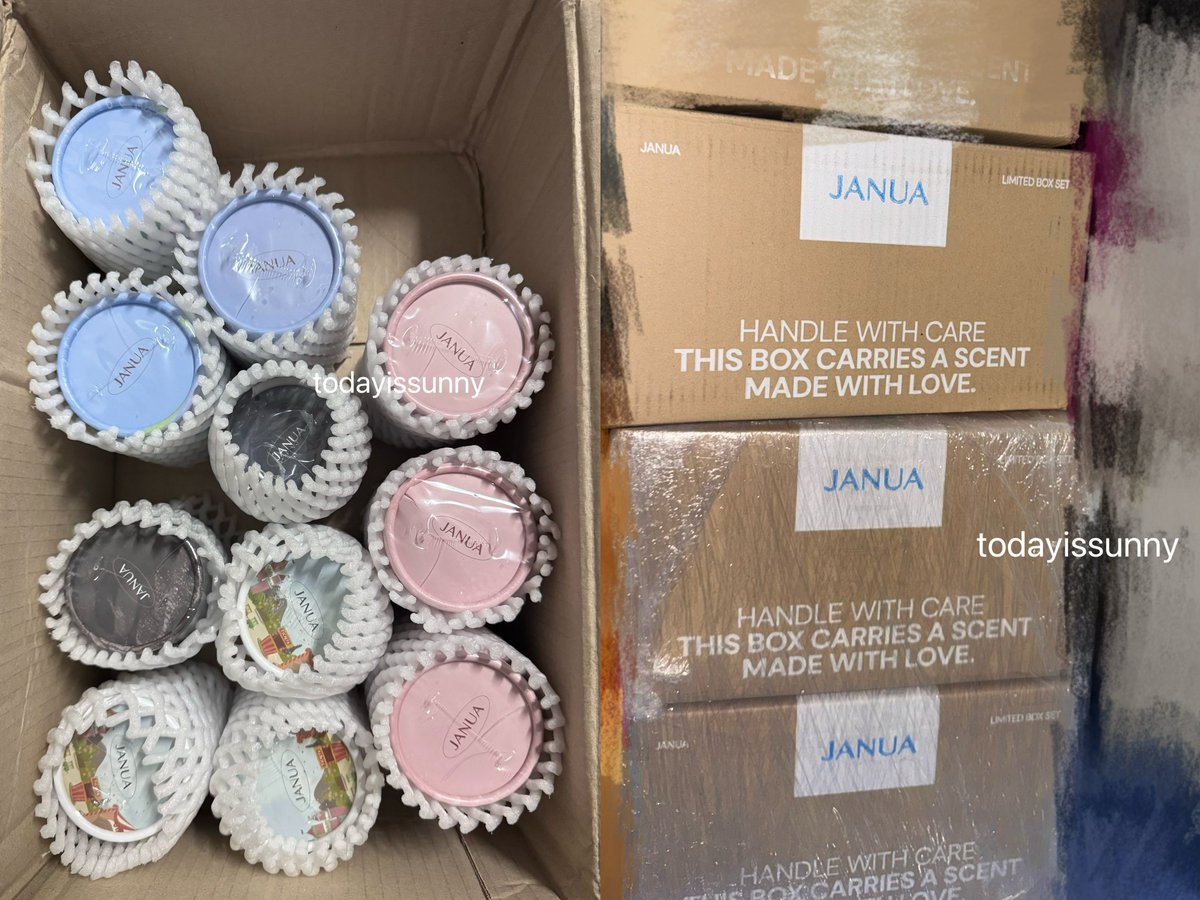 todayissunny tweet media