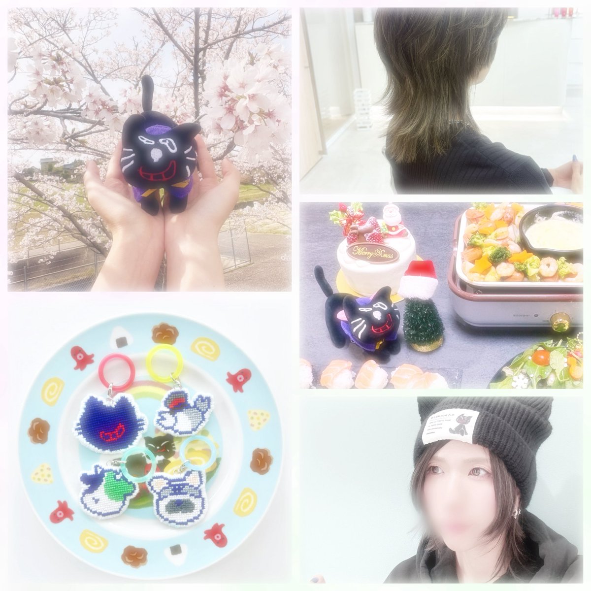 🌞もふげ🐱 tweet media