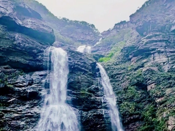 LOVEJEET SINGH tweet media