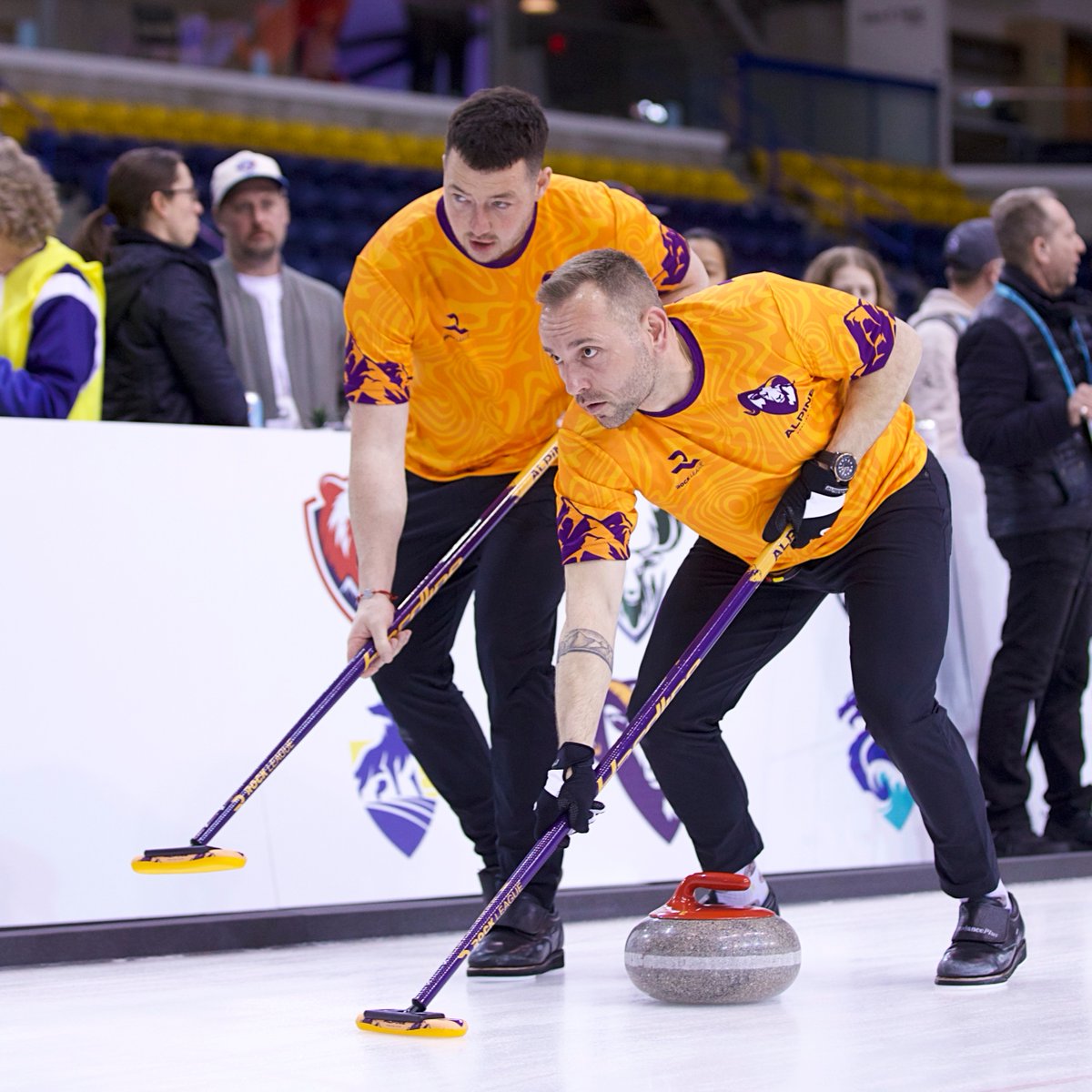 Alpine Curling Club tweet media