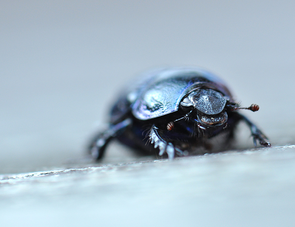 theblindfoldexperience tweet media