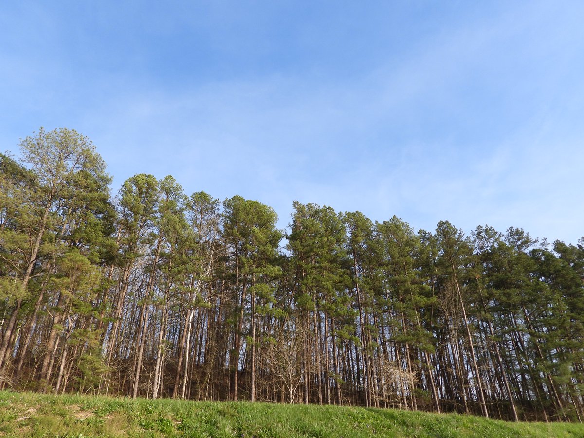teresaholmes351's tweet image. A few pics from a camping trip this week at one of our local state parks. Have a great day. #Ohio #StateParks