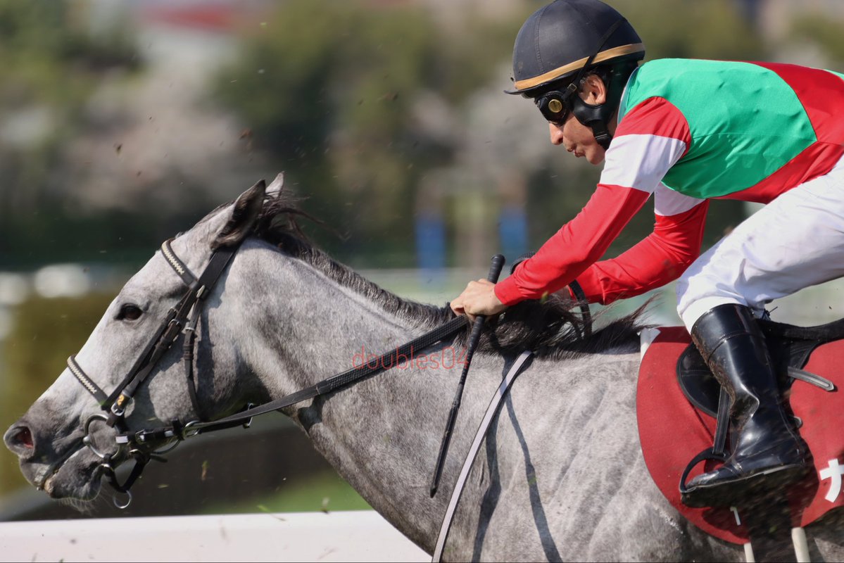 さや@04 tweet media