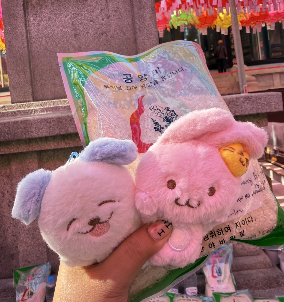 jaejae ݁ ˖༘⋆𐦍⊹₊ ⋆⋆ JNJM tweet media