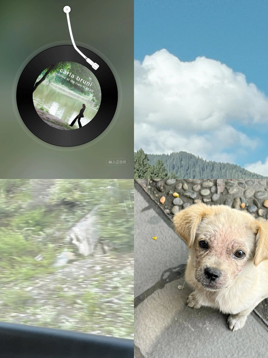 Hailey Jones 💞 tweet media