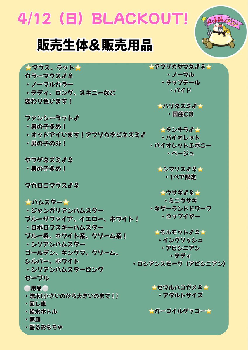 ペットショップリン🍮 tweet media