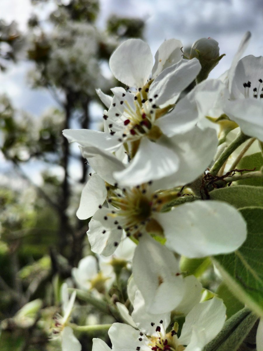 Robert Jansen tweet media