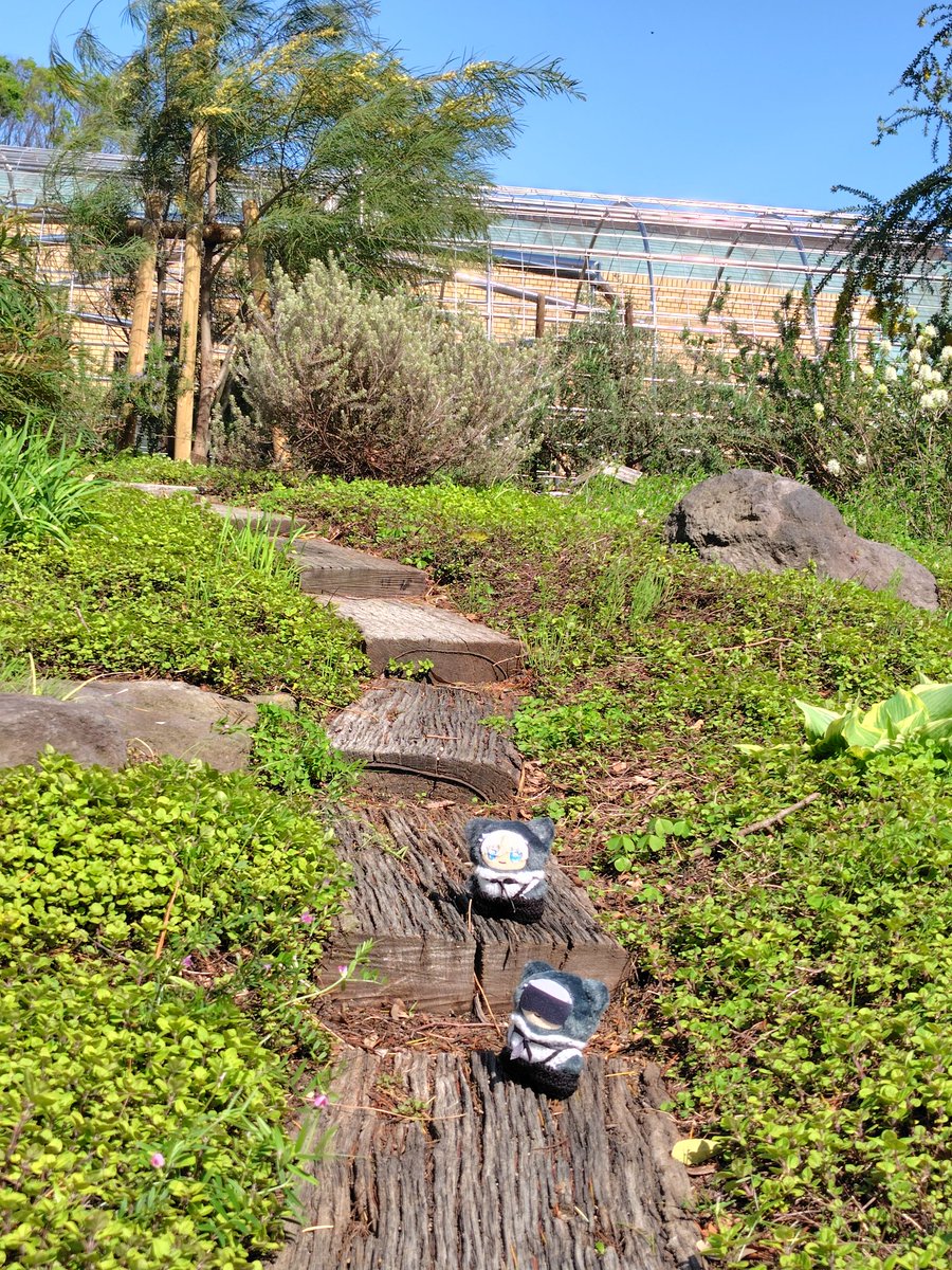 みかん大石 tweet media