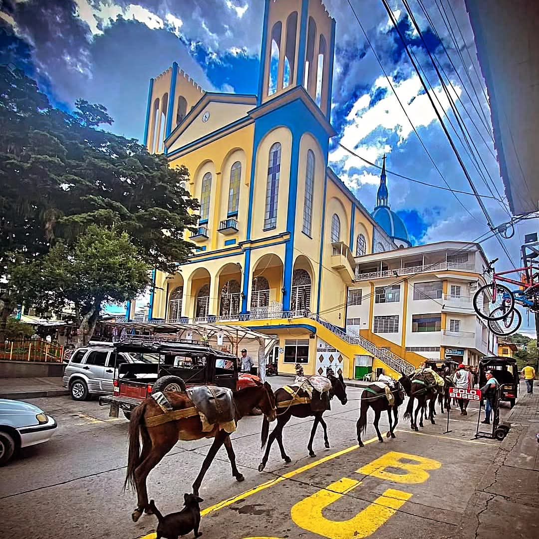 El último de los estoicos. tweet media