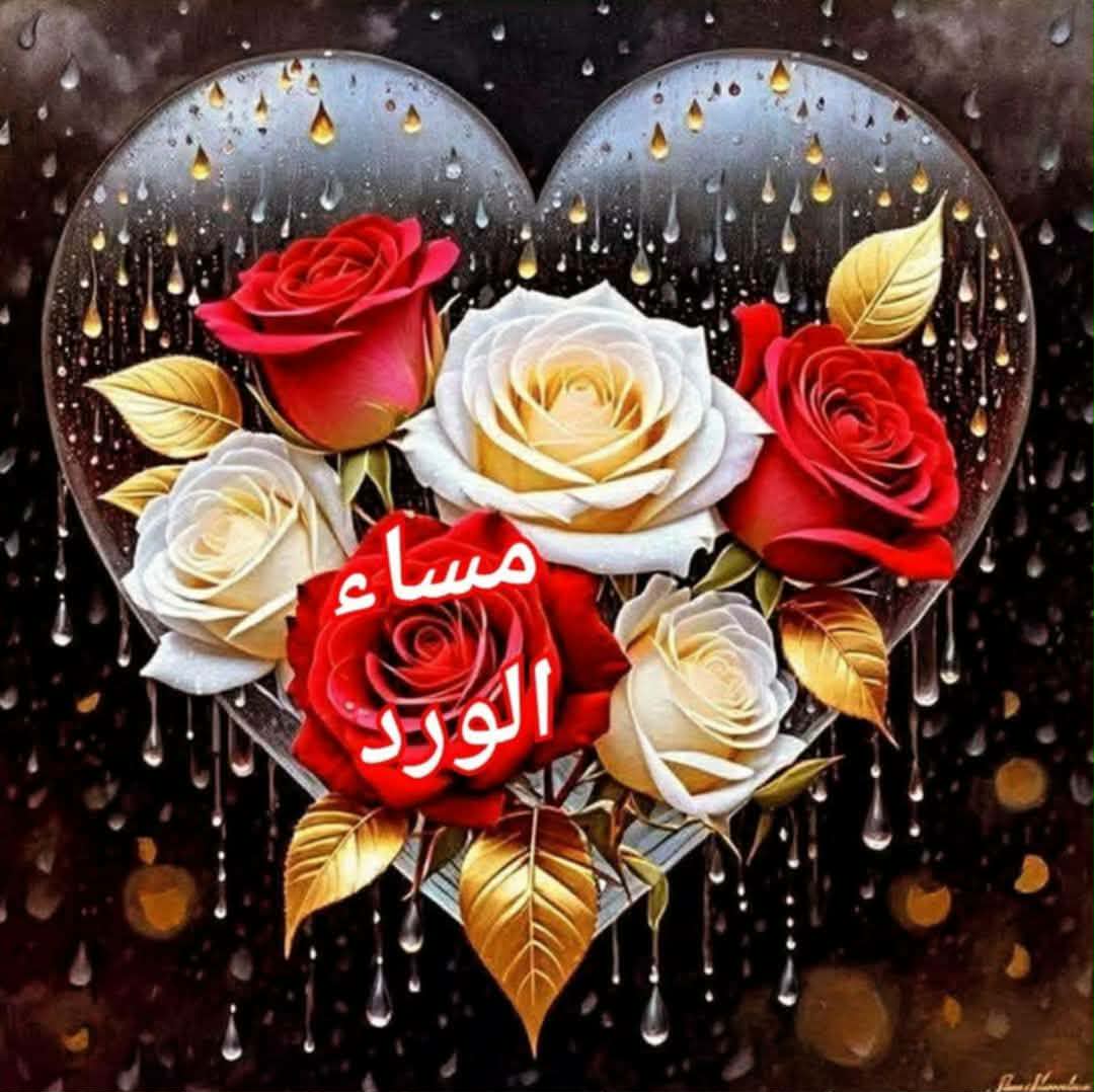 حسين ابو احمد tweet media