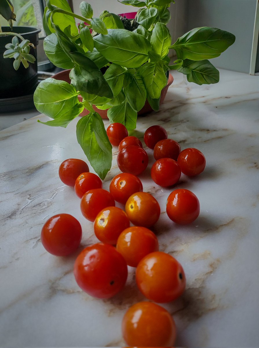 Margarida Pina tweet media