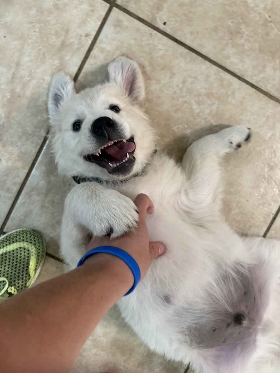 Value & Time tweet media