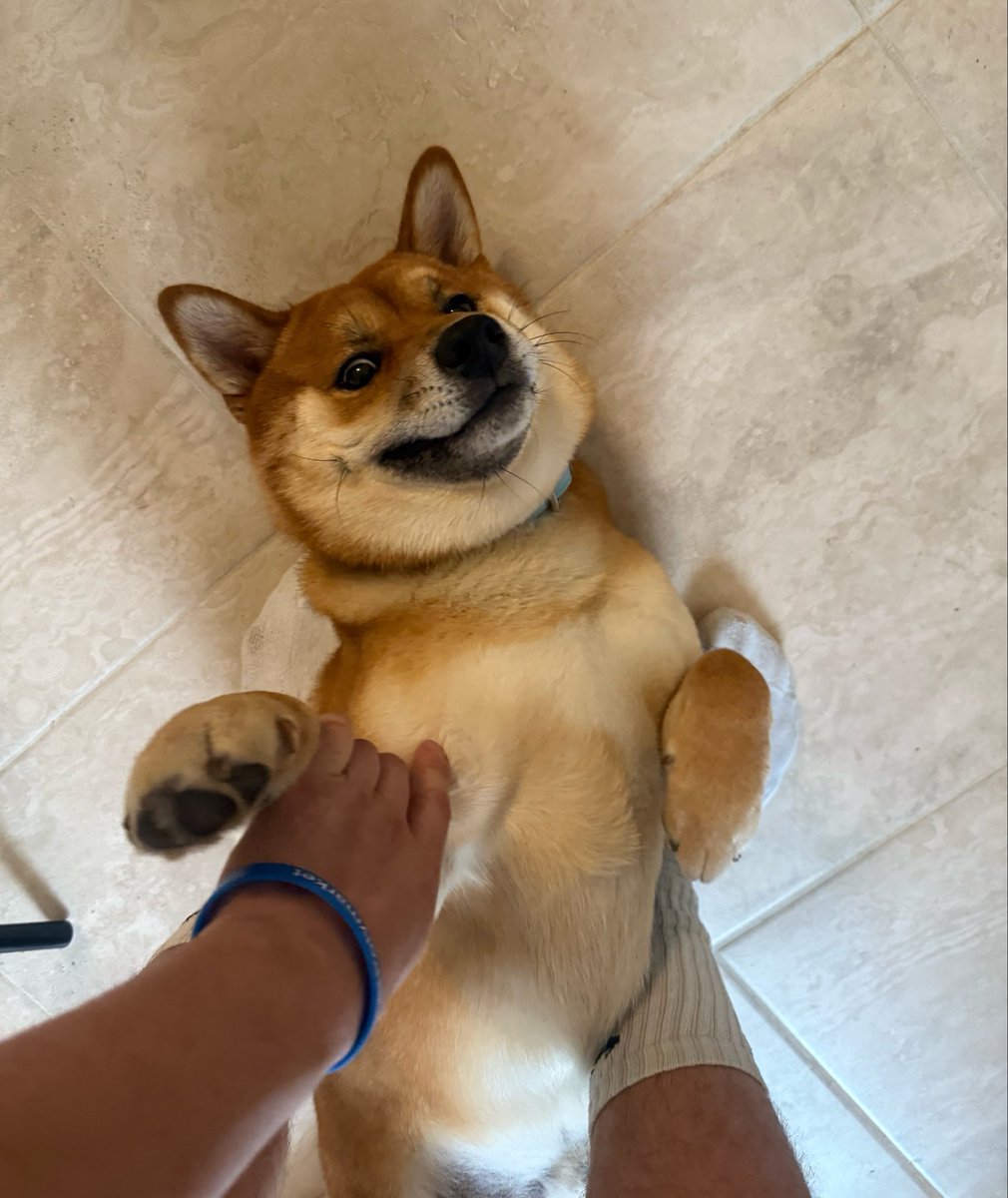 Value & Time tweet media