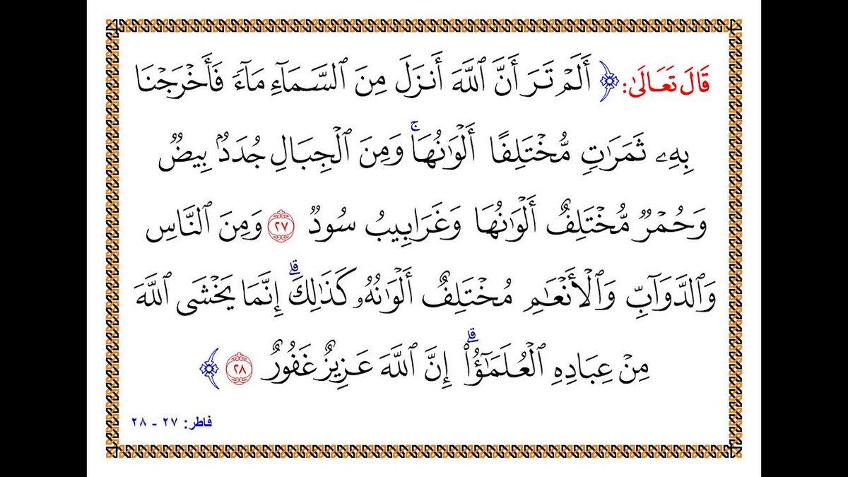 𝓝𝓐𝓘𝓕 𝕏 tweet media