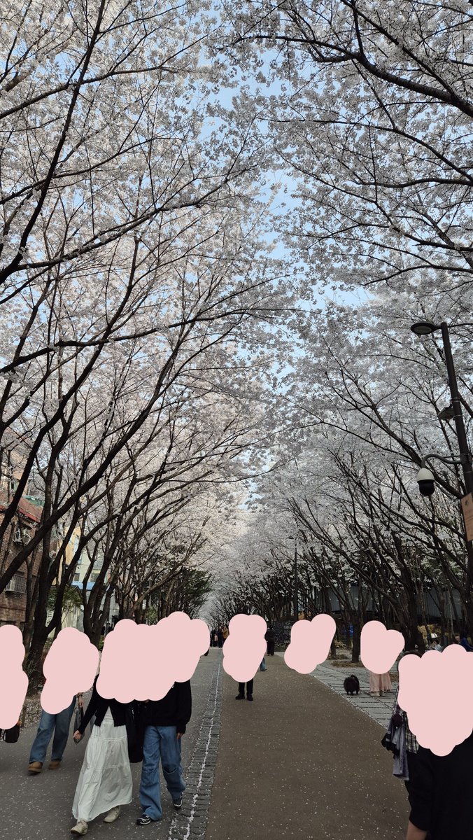 미니 민희 tweet media