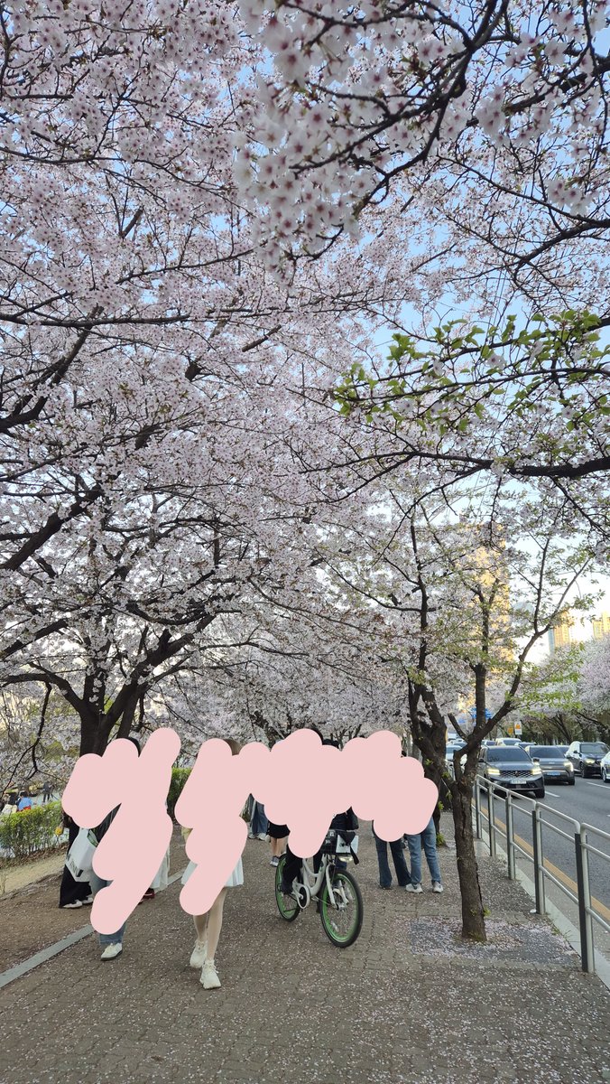 미니 민희 tweet media
