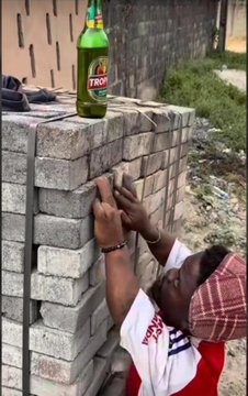 Dane soft tweet media