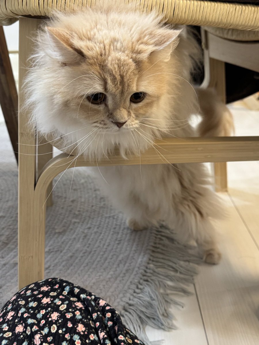 𝕒𝕚𝕜𝕠🦭 tweet media