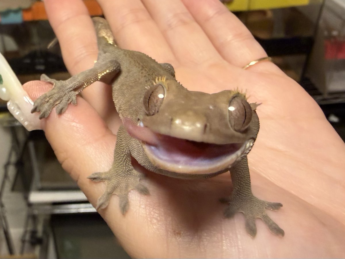 もゆ子🥔 tweet media