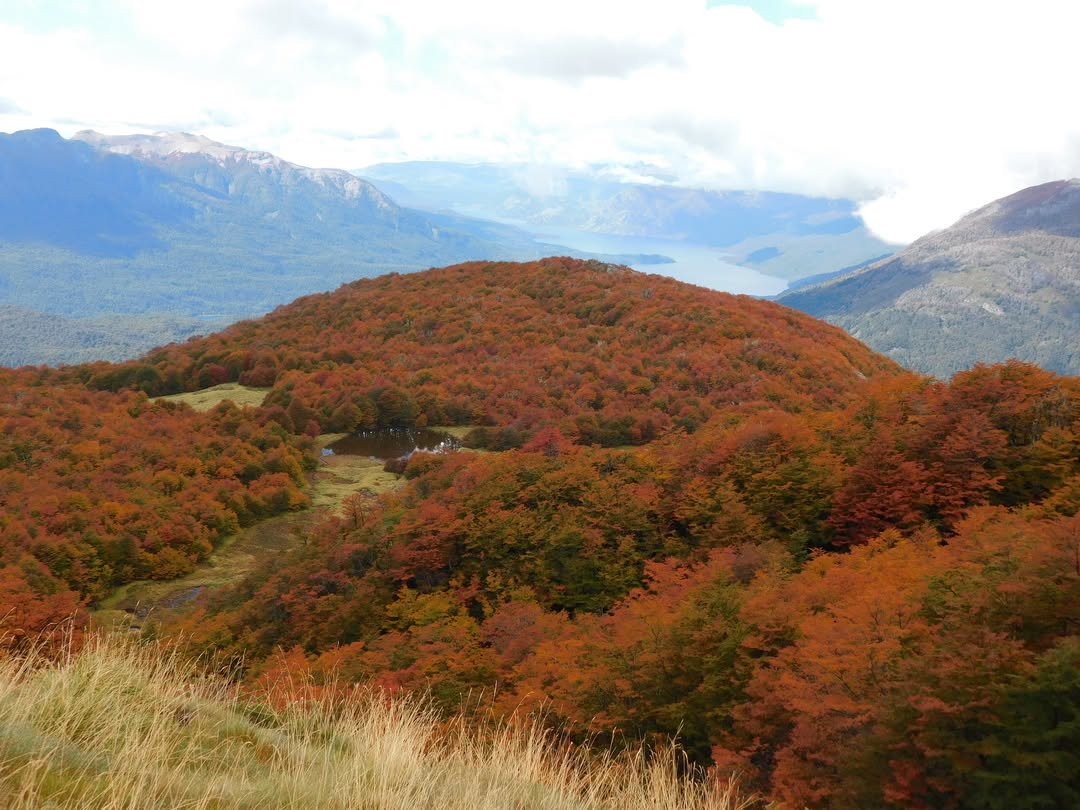 Recorriendo Montañas tweet media