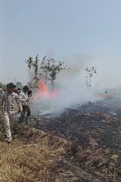 bstvlive's tweet image. फर्रुखाबाद : गेहूं की फसल में लगी आग

➡हाई टेंशन की लाइन से निकली थी चिंगारी
➡आग से 7 बीघा फसल जलकर हुई राख
➡आग बुझाने में एक महिला सहित 3 लोग झुलसे
➡थाना नवाबगंज क्षेत्र का मामला

#Farrukhabad #Fire #Accident @fatehgarhpolice