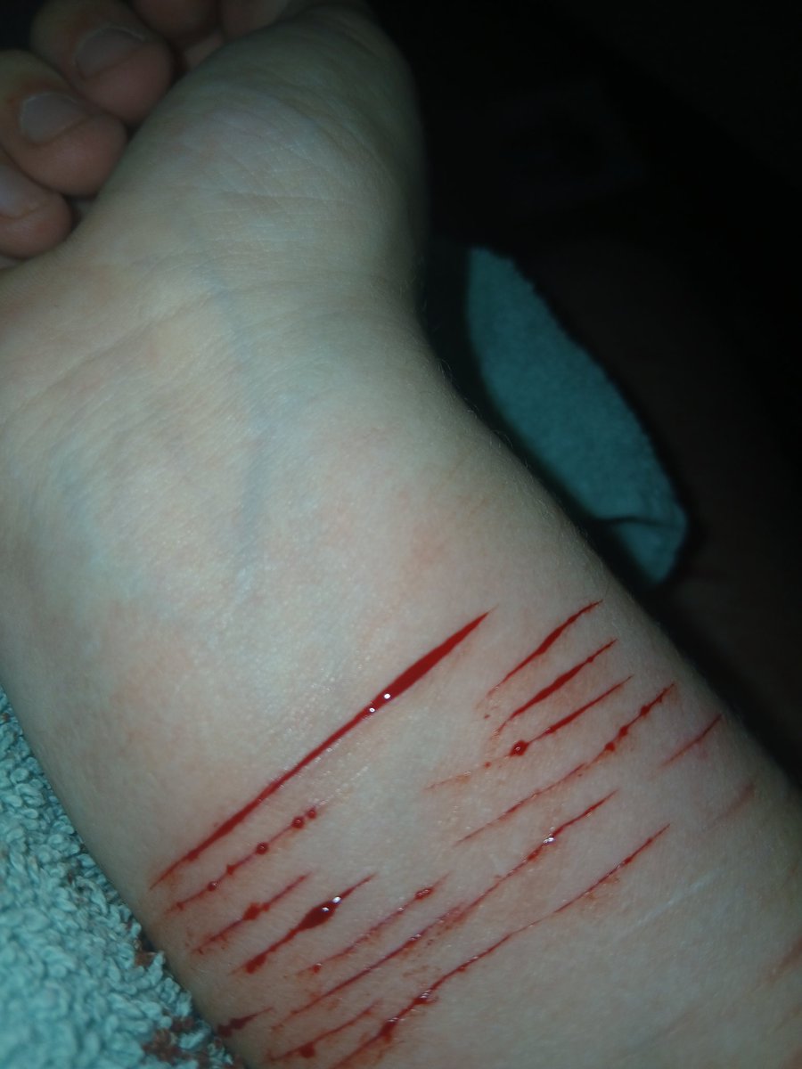 frnkiero of shtwt 🦴 tweet media