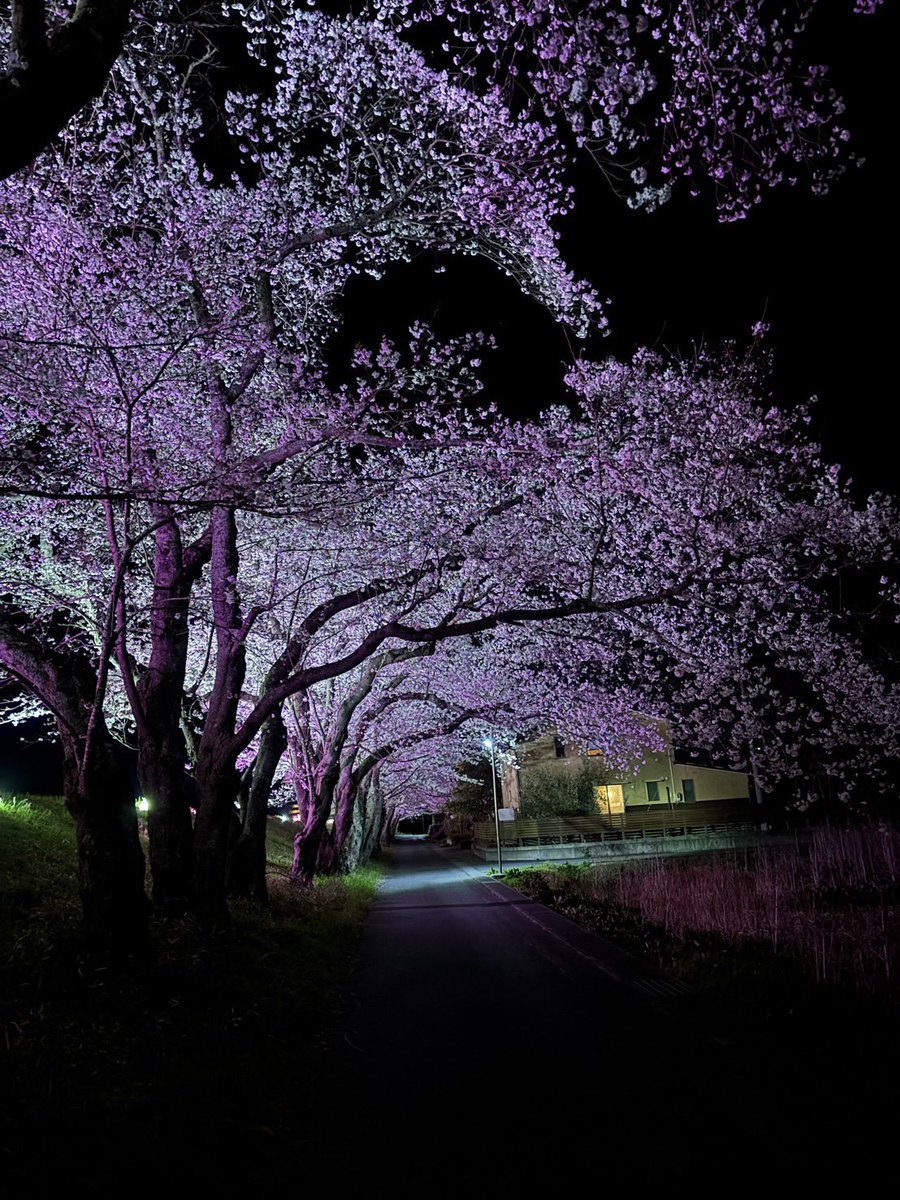 ヤマボシ醤油合名会社 tweet media