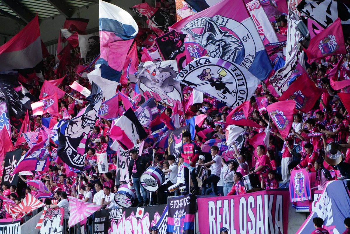 N.cerepanda tweet media