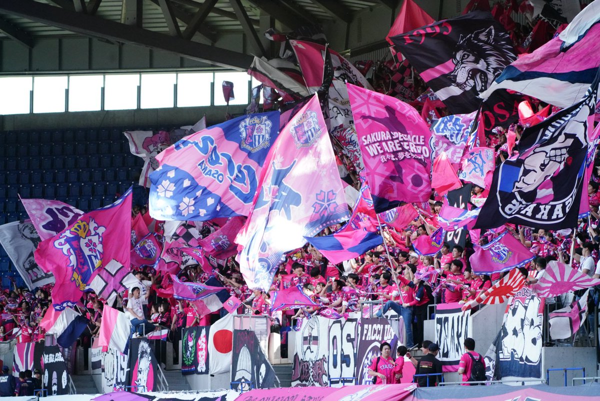 N.cerepanda tweet media