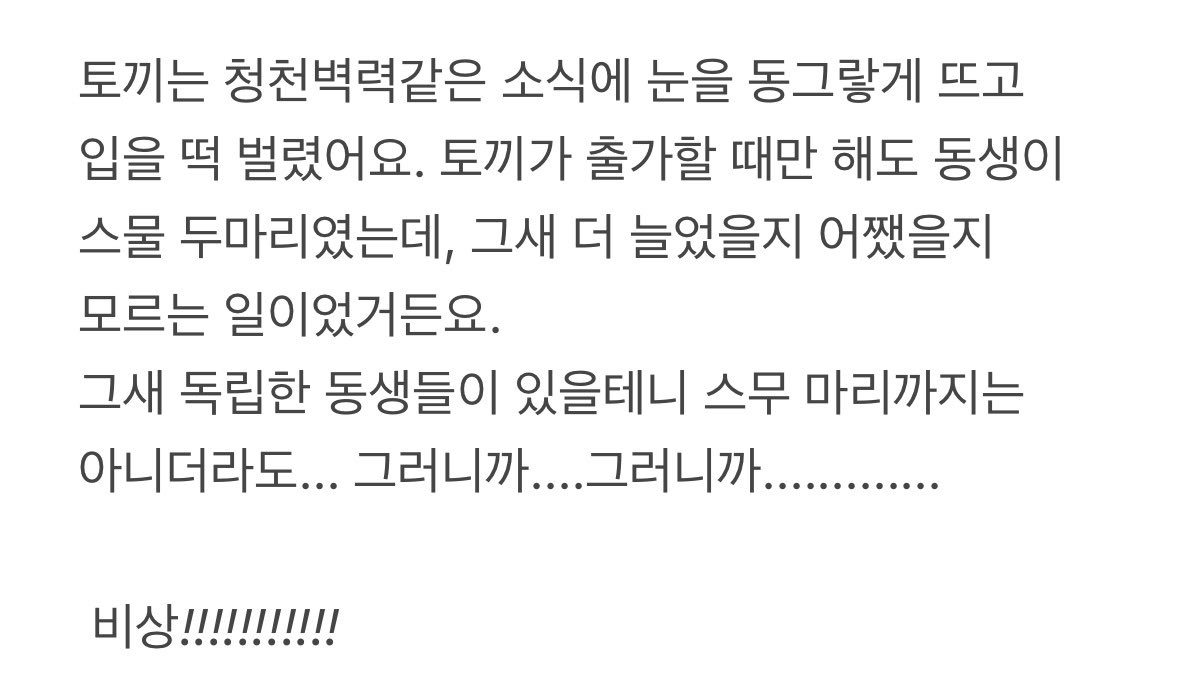 디 tweet media