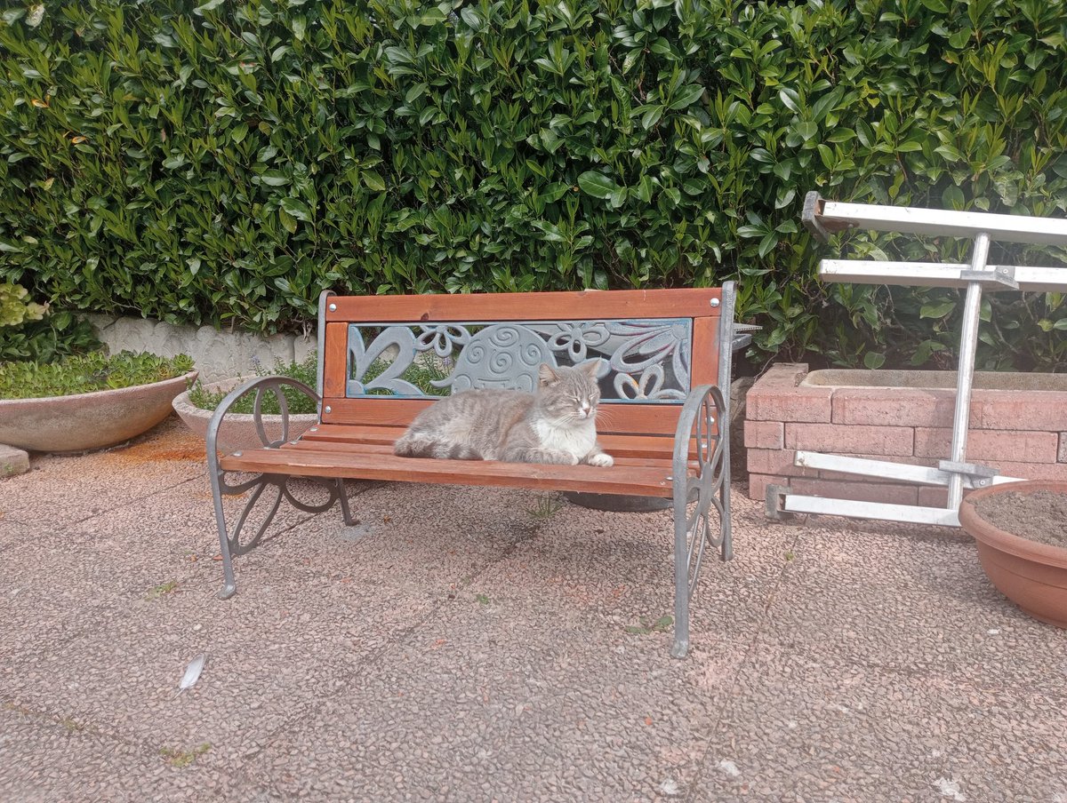 matti :3 tweet media