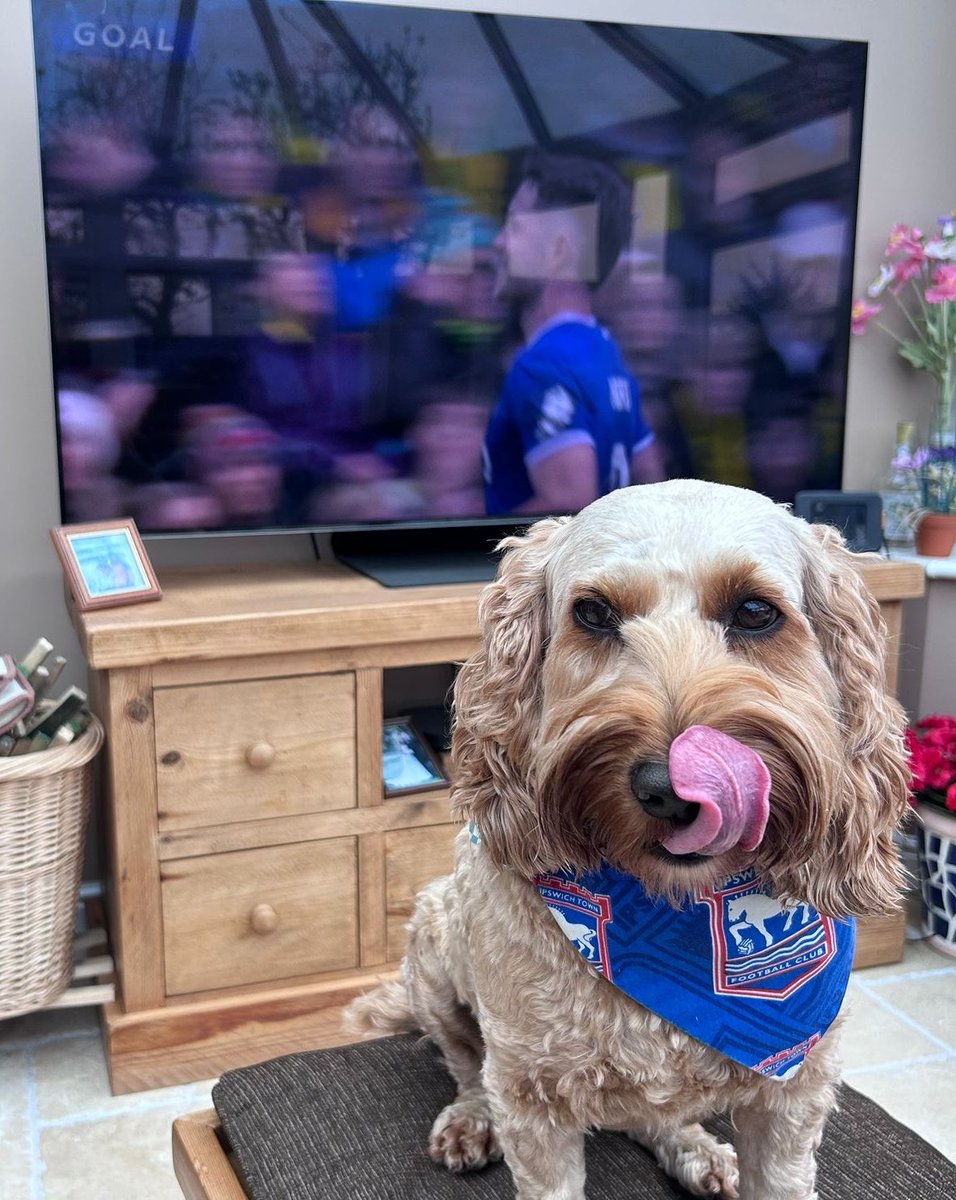 EbbsEbbs's tweet image. #ITFC derby day victory 👍

#Ipswich #Suffolk 

@IpswichTown @TalkingTownITFC @twtduk @GeorgeHirst45 @edsheeran @JackClarke09 @jackootaylor