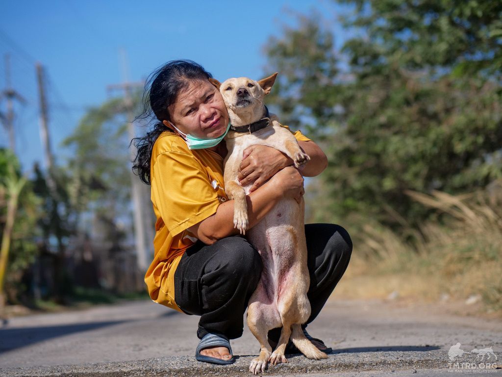 TMTRD - The Man That Rescues Dogs Foundation tweet media