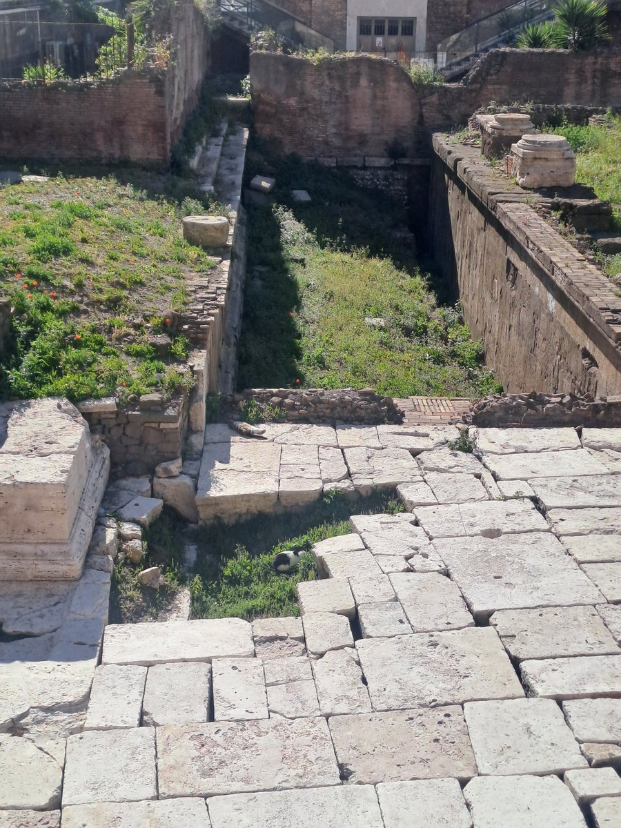 miriamcorrigan's tweet photo. Going to Rome for the sights
The sights in question https://t.co/15OlTyK3LR