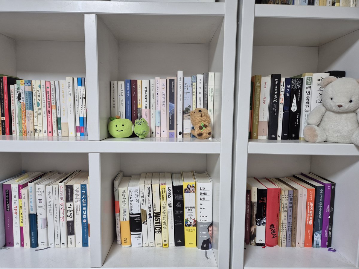 물까치 tweet media