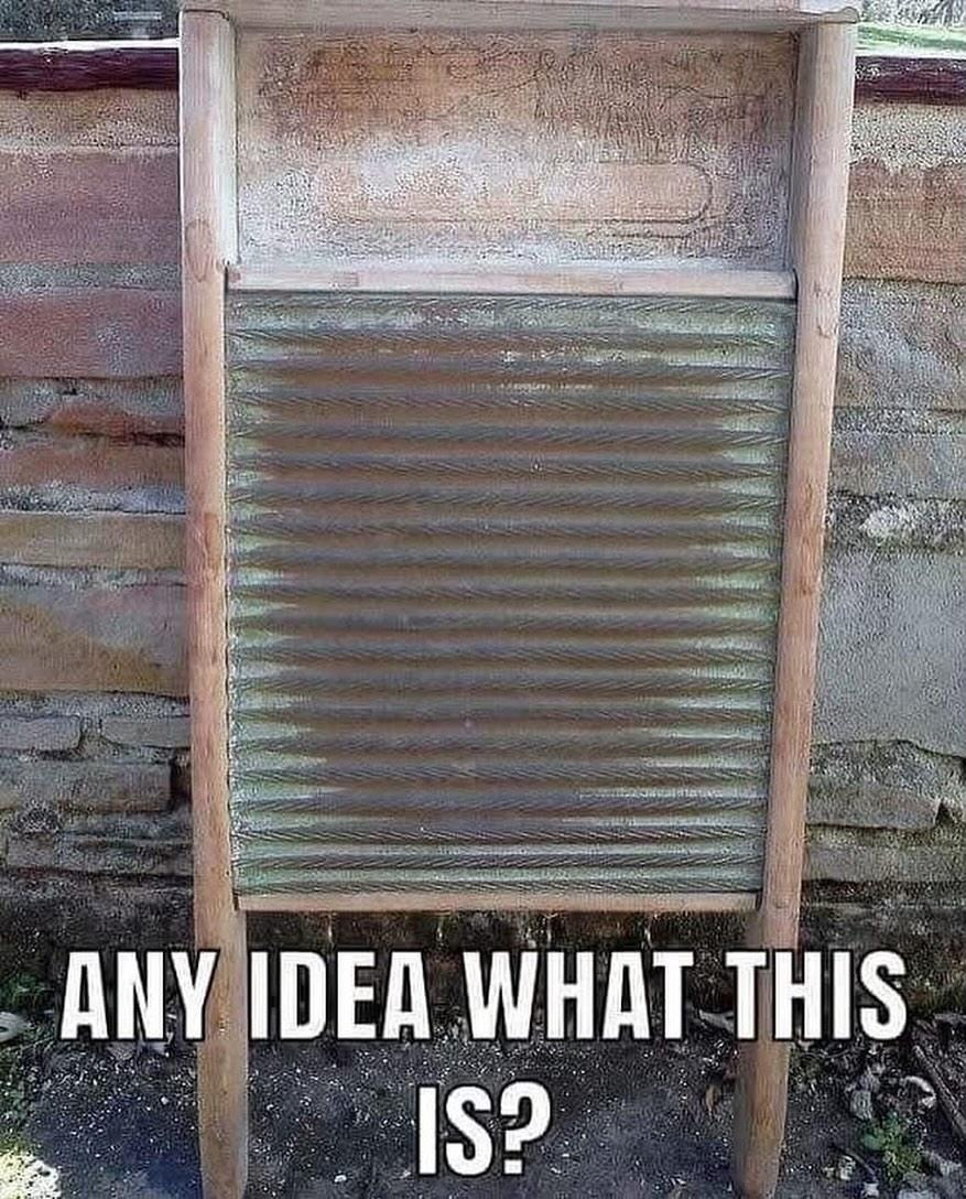 Lily Rosewood tweet media