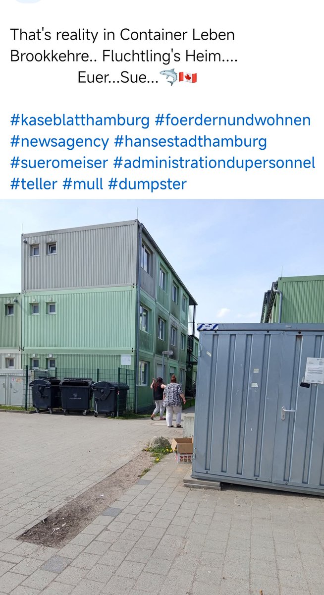 Sue ©️ tweet media